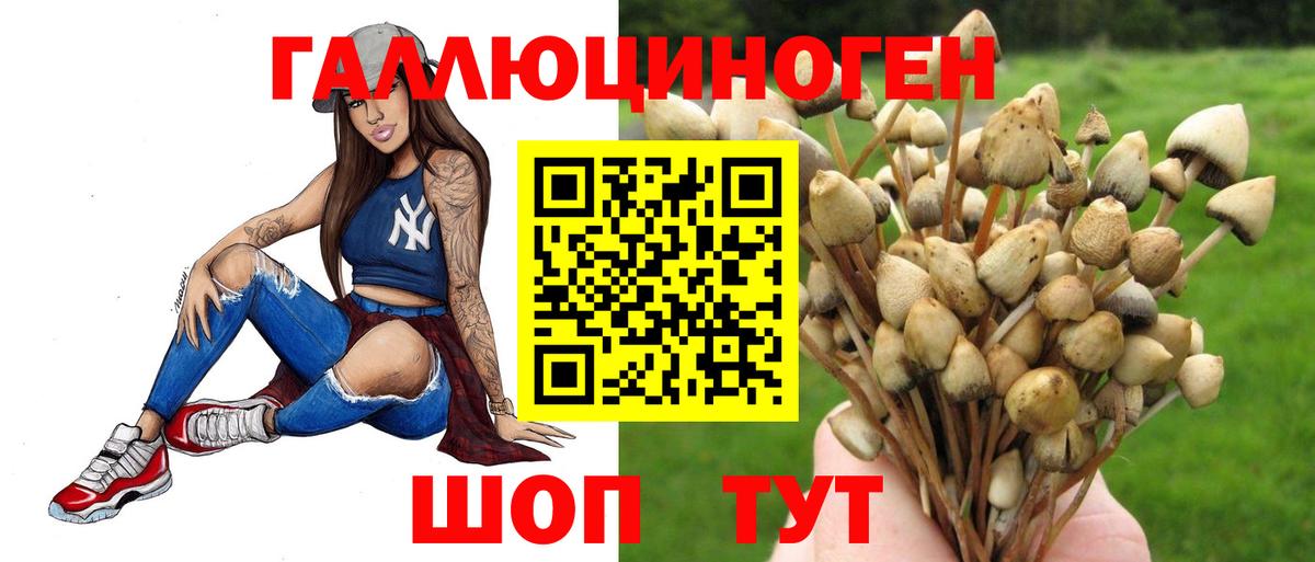Псилоцибиновые грибы Psilocybine cubensis Фурманов