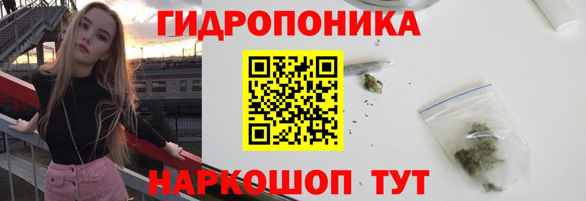 Канабис конопля Фурманов